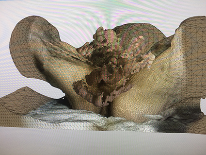Interrupted 3D scan by artist Paul Coombs